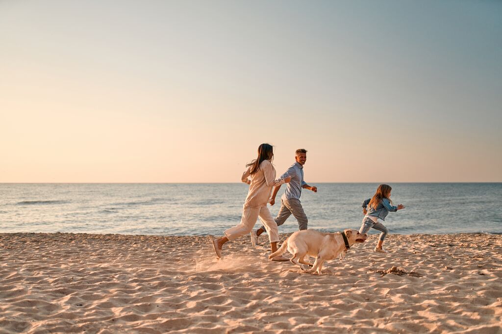 dog and family running on the beach