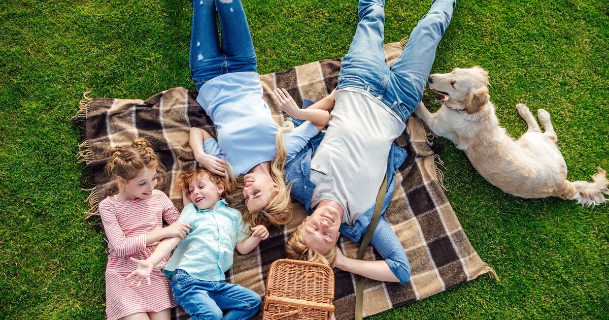 Family of four, lying down on the grass having a picnic with their dog.