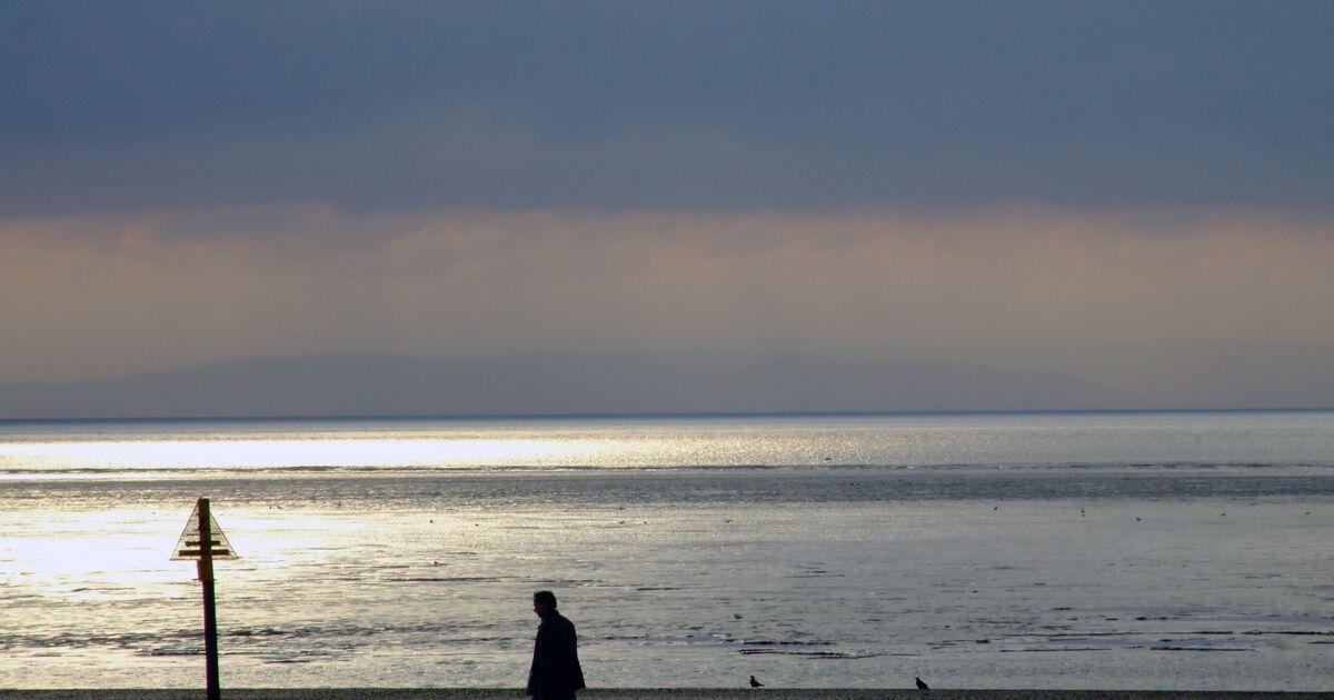 Man walking his dog on the beach at night.