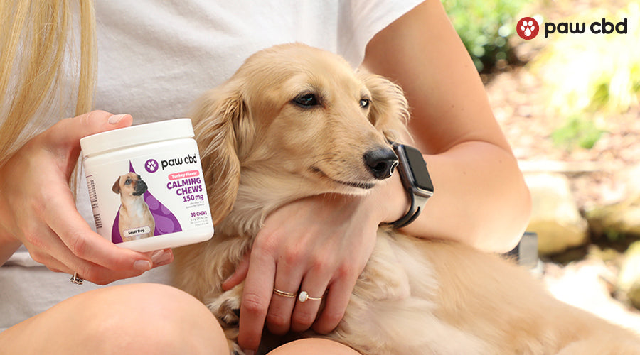 A woman holding a dog with her arm and holding calming chews turkey flavor in her hand - Paw CBD