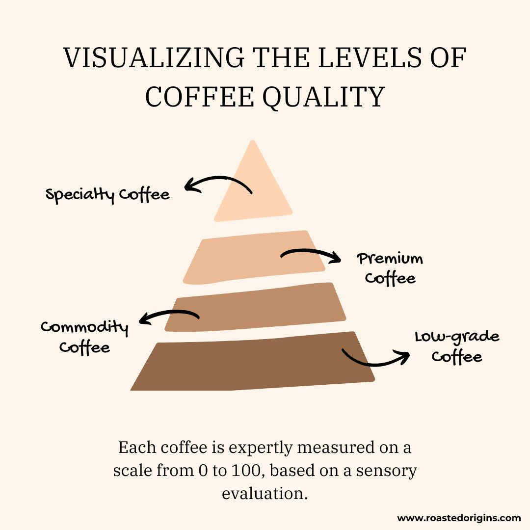 a chart visualizing the different levels to coffee quality