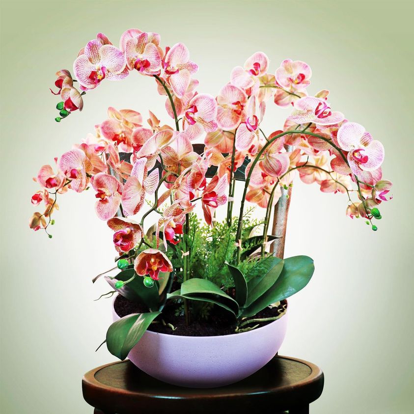 Artificial potted orchid arrangement