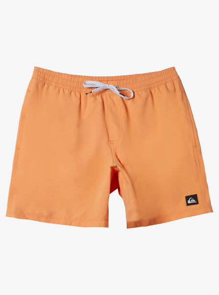 Quiksilver Mens Everyday Volley 15 Inch Elastic Waist Boardshort Swim Trunk  : : Clothing, Shoes & Accessories