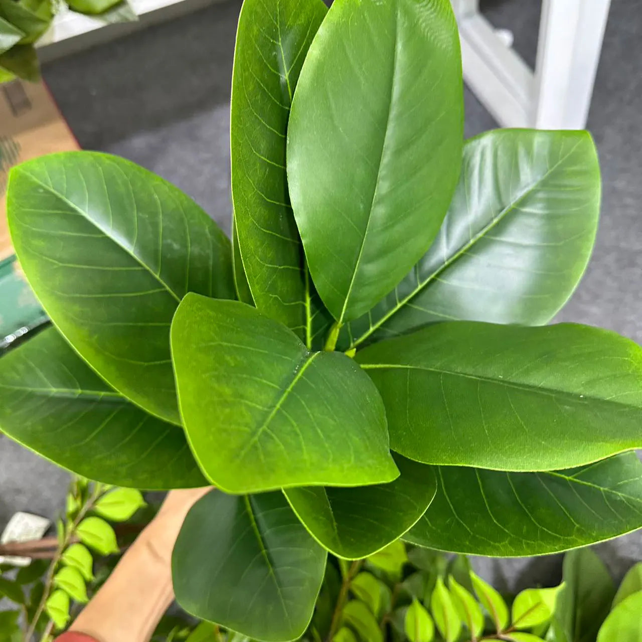 Artificial Ficus Tree Décor