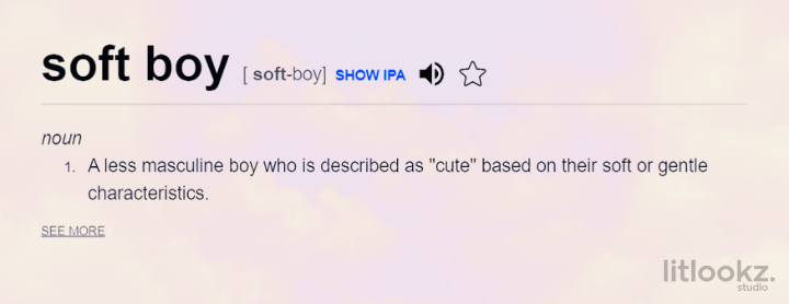 soft boy meaning