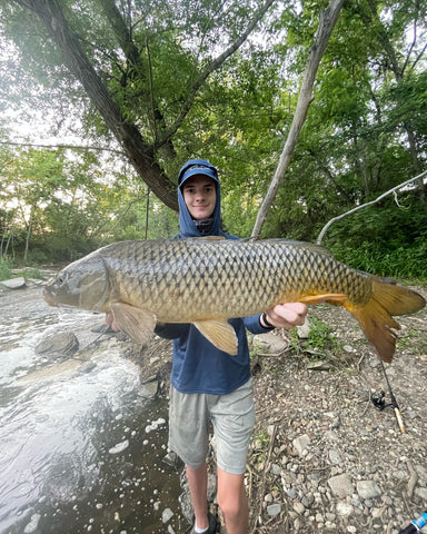 18 pound common carp caught