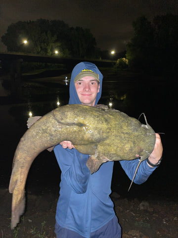 Big catfish caught