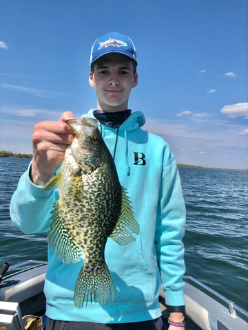 14.5 inch crappie caught