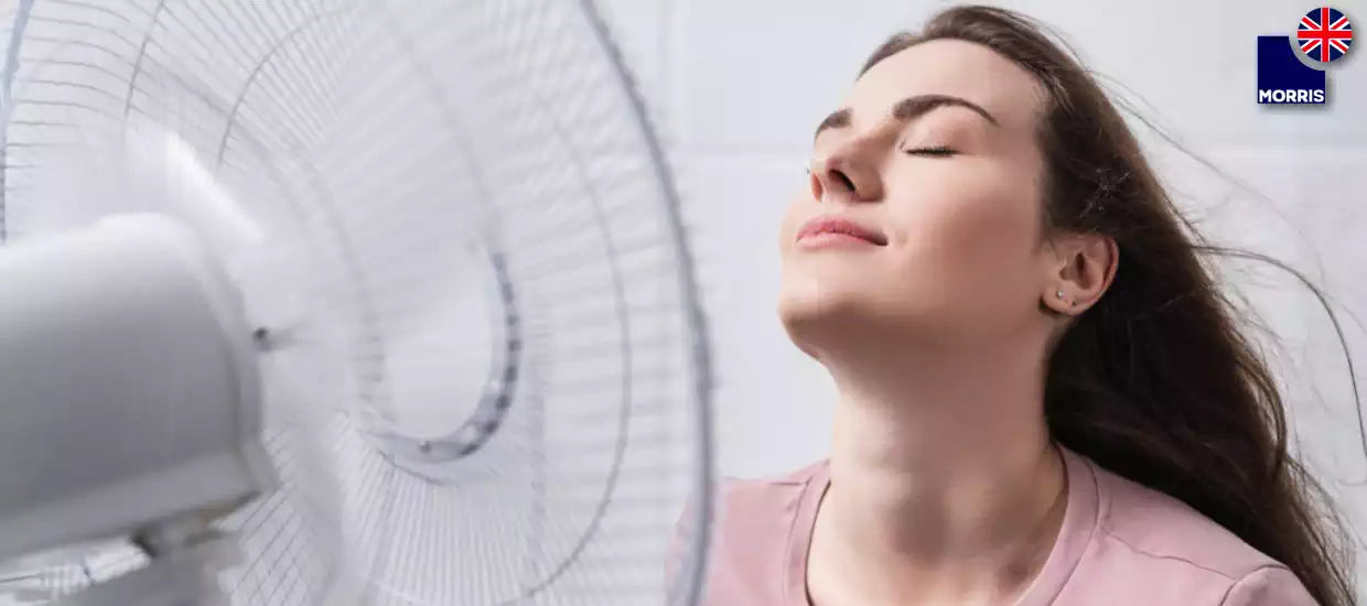 How do pedestal fans work?