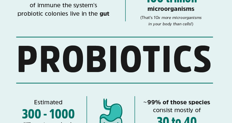 spore probiotics benefits