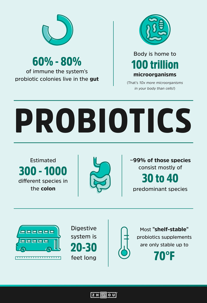 The Benefits Of Probiotics And Where To Find Them Zhou Nutrition