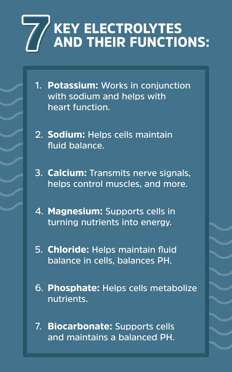 7 Key Electrolytes and Their Functions