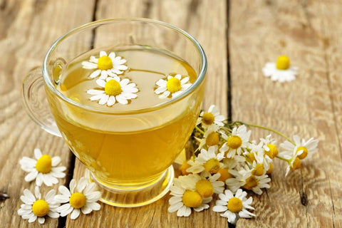 Chamomile floating in cup