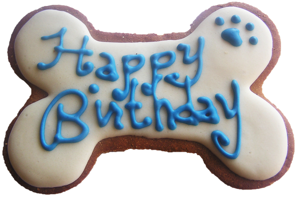 Birthday Bone 5 Inch – Bone Bons