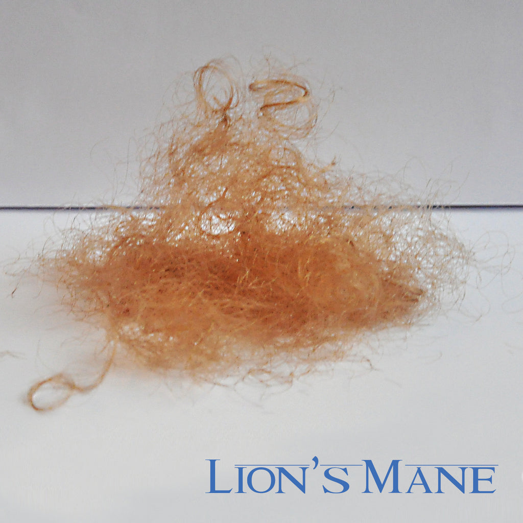 Lions Mane – Send Pubes