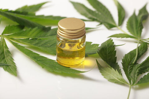 cbd oil absorption rate