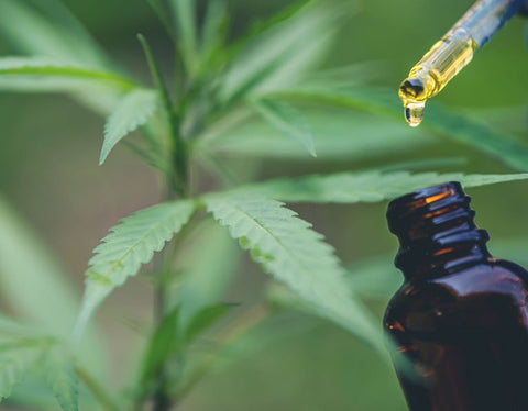 debunking myths about cbd oil