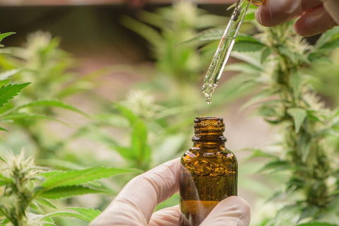 strengths and weaknesses of cbd oil for anxiety