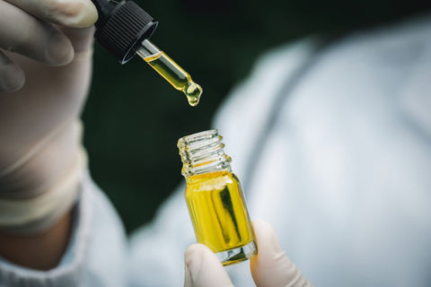 what is cbd oil derived from