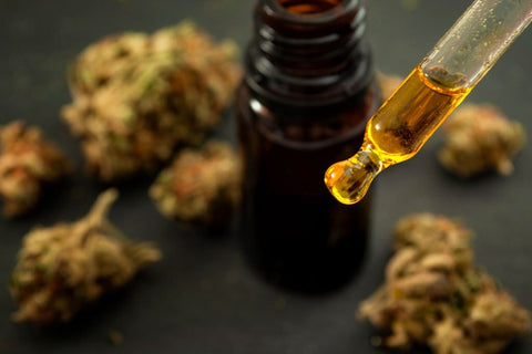 where does cbd oil come from