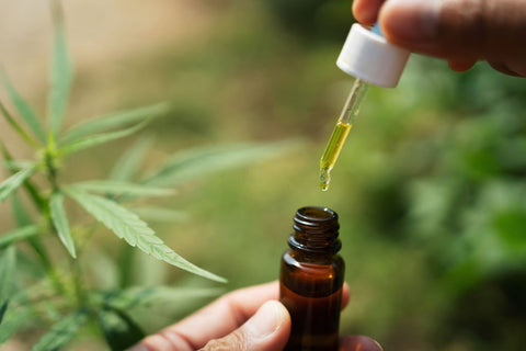 which cbd product is right for me