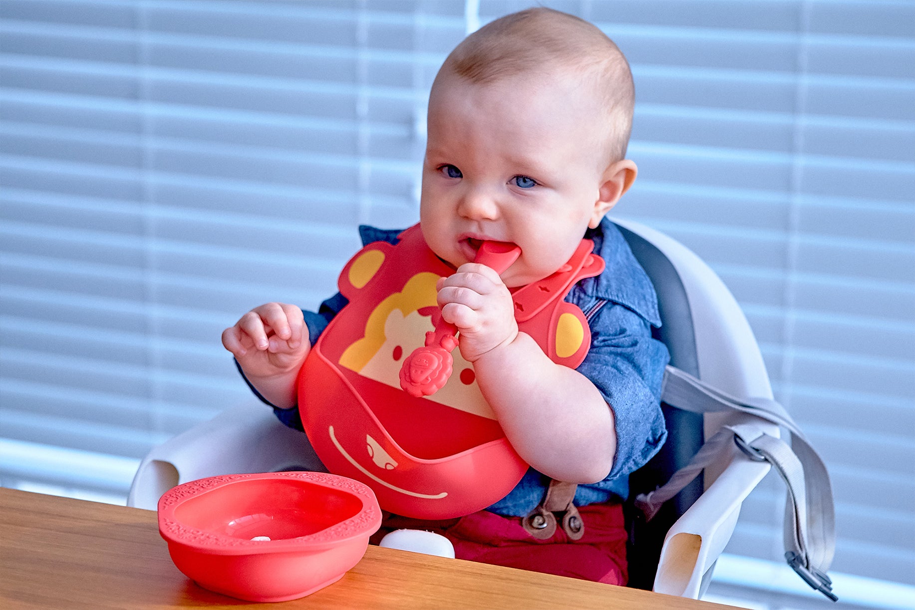 Baby-Led Weaning