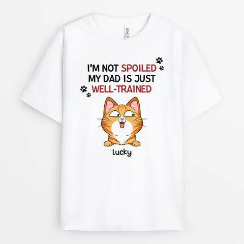 Father Day T Shirt