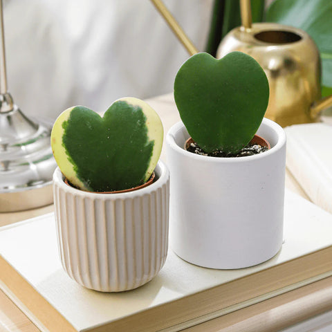 Decor Ideas For Sentimental Valentine Gifts For Him