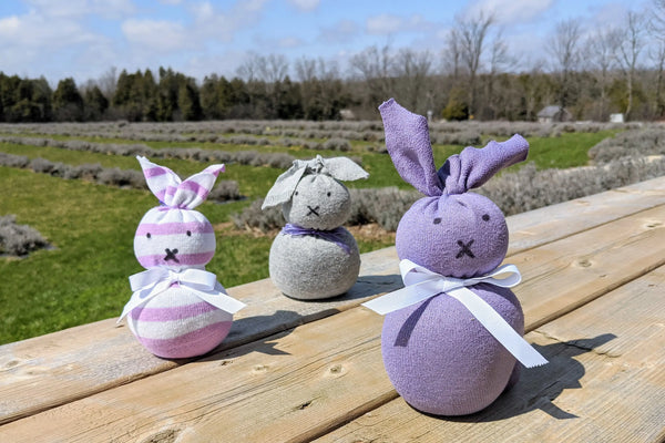 Sock Bunny - Easter Projects for Toddlers