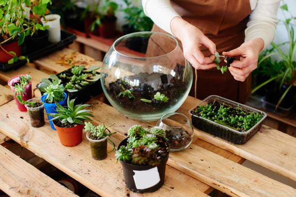 Plant a Mini Garden - Ideas for An Anniversary