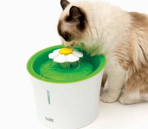 Cat Water Fountain-Cat Dad Gift Ideas