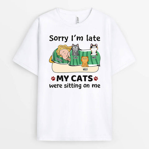 My Cats Were Sitting On Me T-Shirt for 18th Daughter