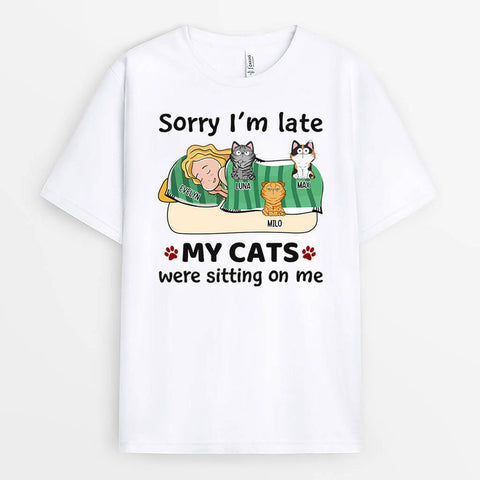 Customizable My Cats Were Sitting On Me T-shirt As Mothers Day Gift For Pregnant Mom