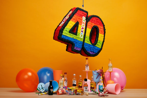 40th Birthday Ideas for Sister - Party