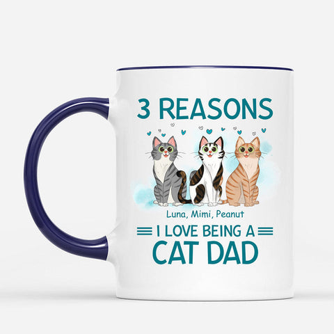 Reason I Love Being A Cat Dad Mug As Best Outdoor Gifts For Dad[product]