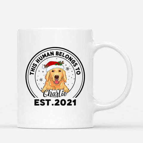 Unique This Human Belongs To Mug As Dog Dad Father's Day Gifts[product]