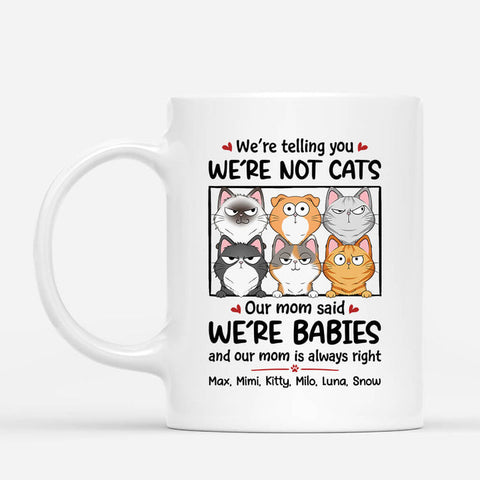 Personalized We're Not Cats We Are Baby Mug as Mother's Day Gift Basket Ideas Homemade[product]