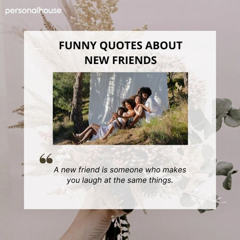 New Friends Quotes Funny