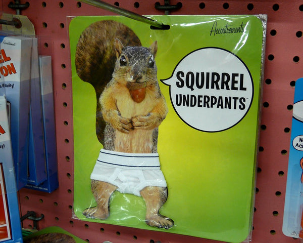 Squirrel Underpants As Funny Gifts