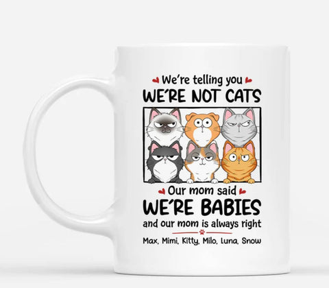 We Are Baby Mug-Cat Dad Gifts 