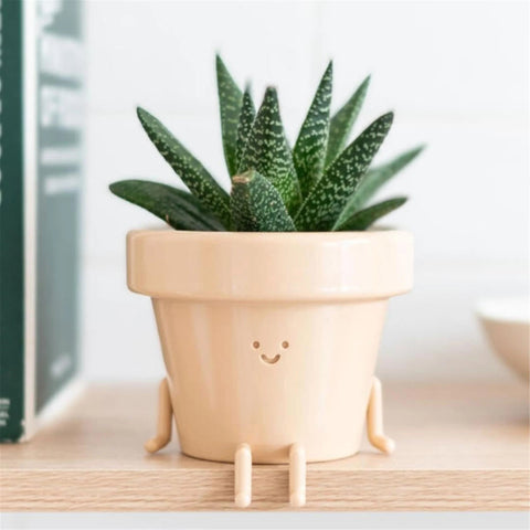 Novelty Plant For Her
