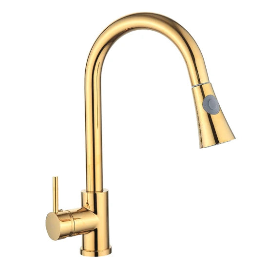 Euro SS Gold Pullout Sink Tap- 8581