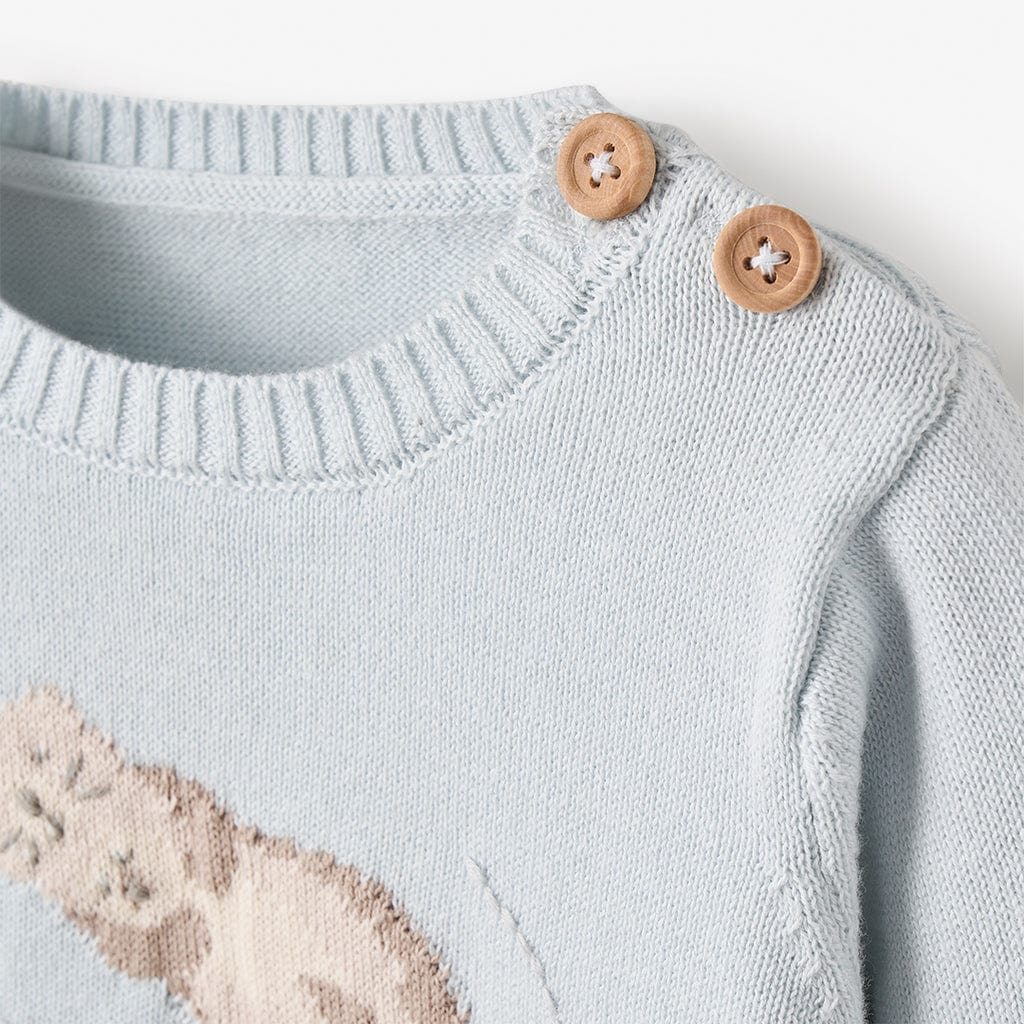 Elegant Baby Otter Lake Sweater & Pants – Little Miss Muffin