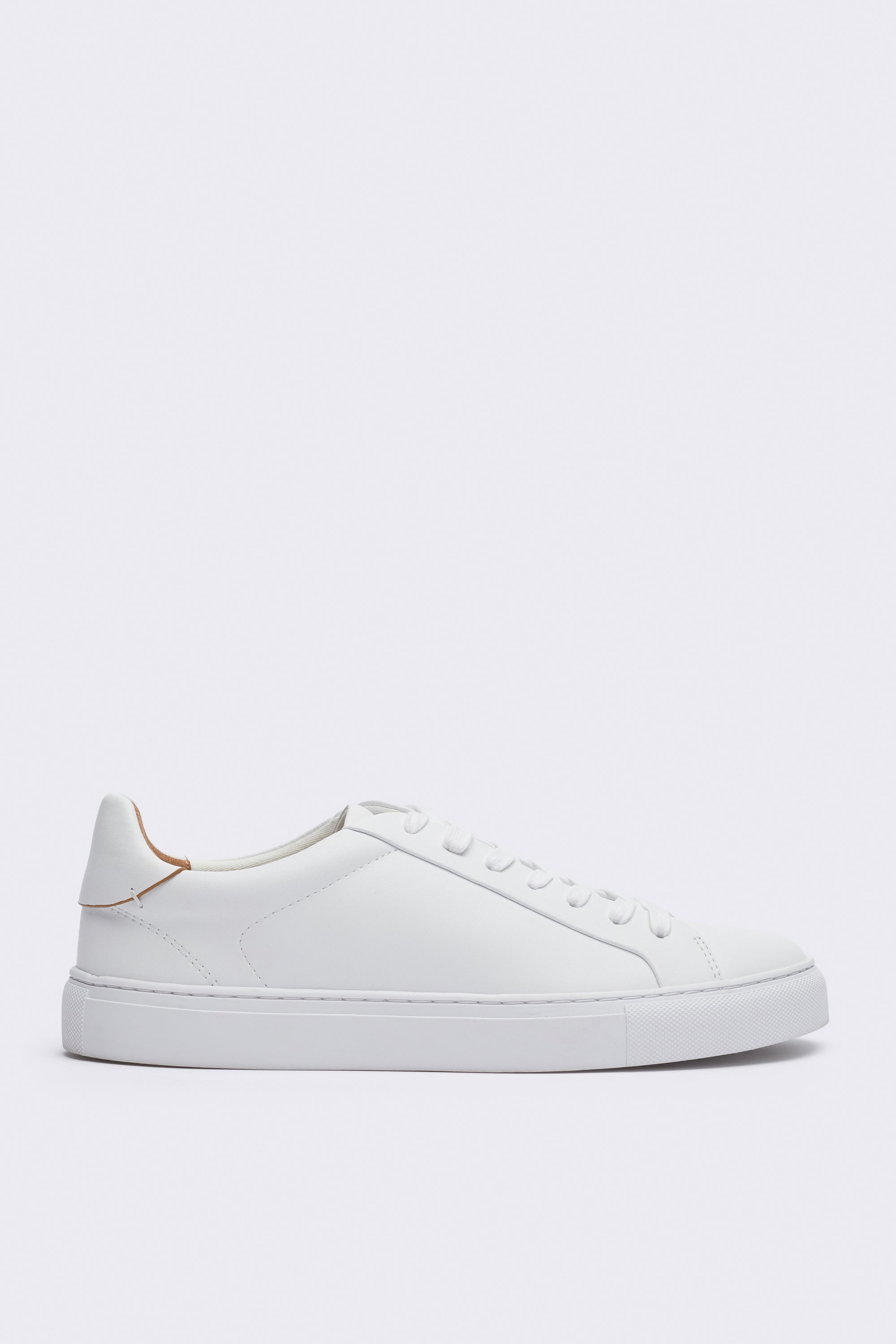 Leni Leather Sneaker