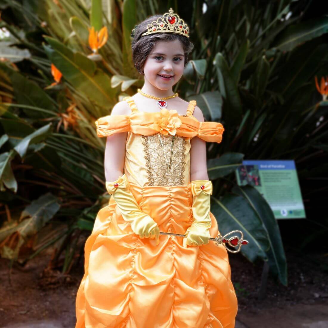 Girl in a tiara wearing a yellow princess dress