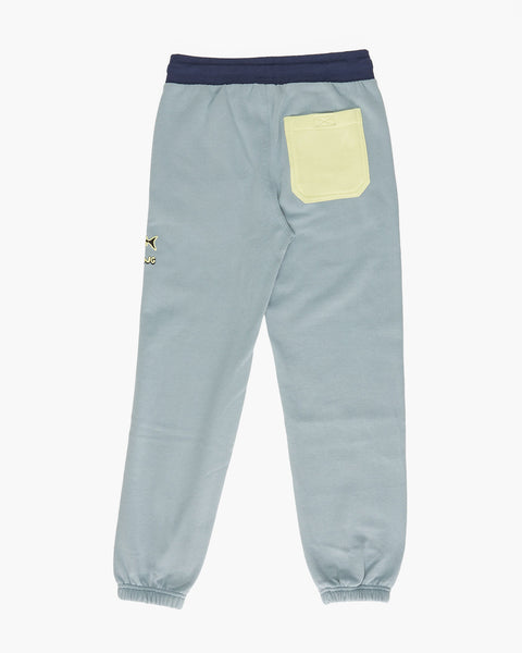 Boys Pants - Shop Kids Collection – Billabong.com