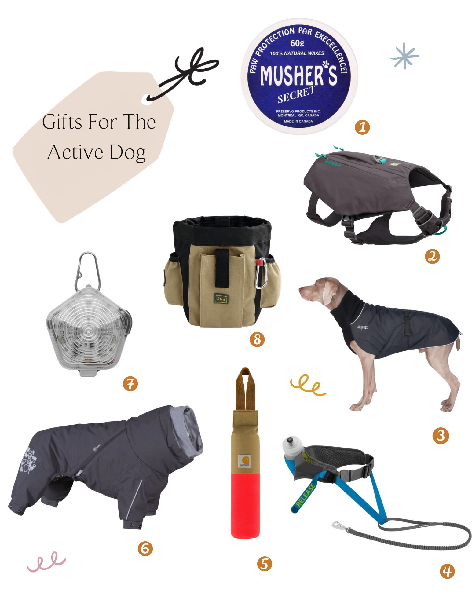 gifts for the active dog