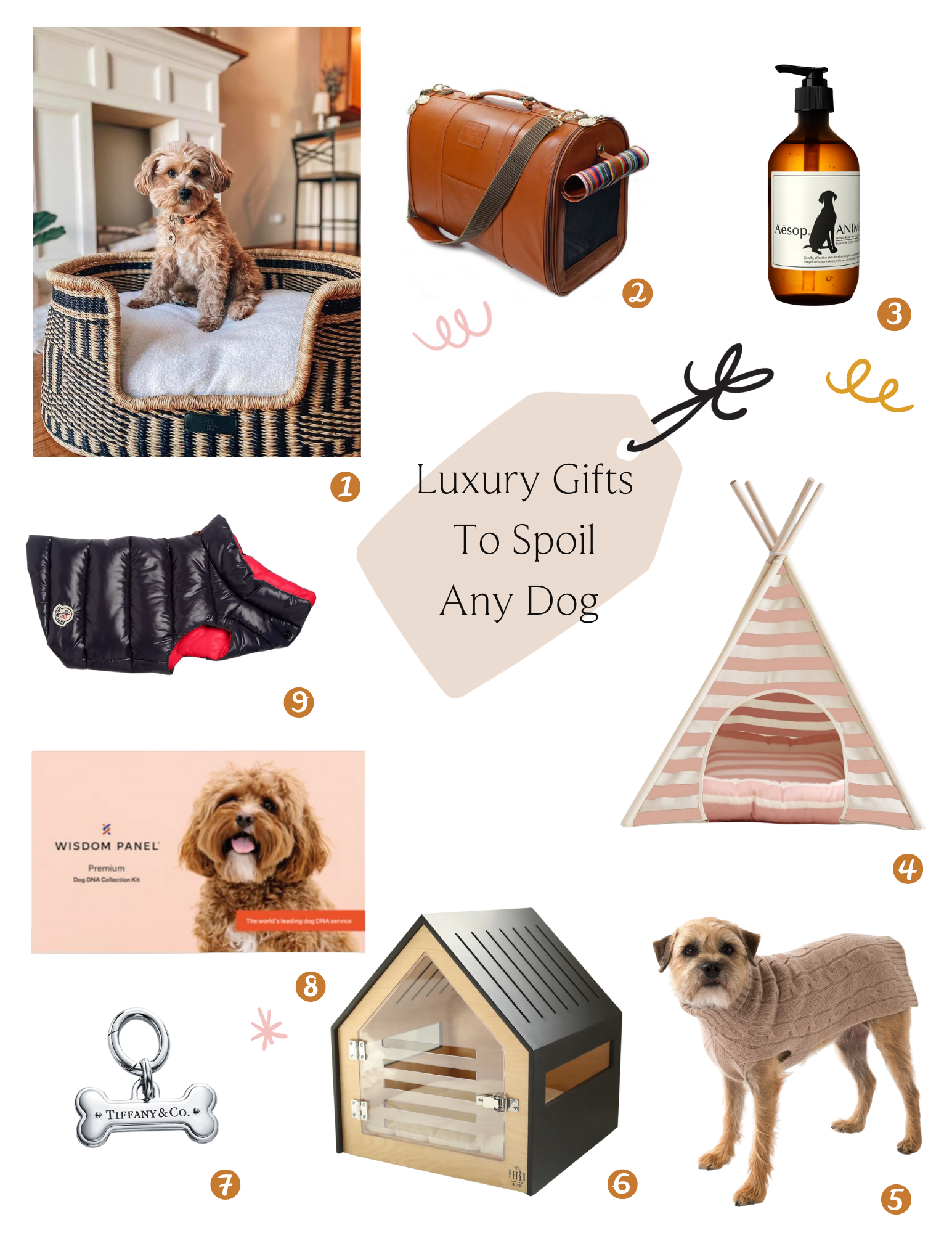 Luxury Dog Gift Guide