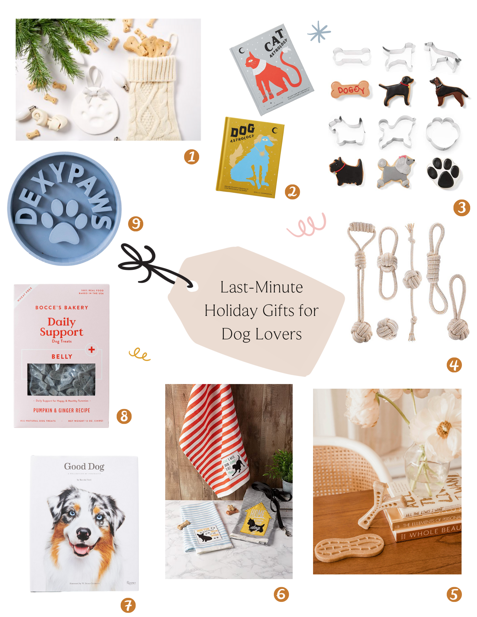 last minutes gifts for dog lovers