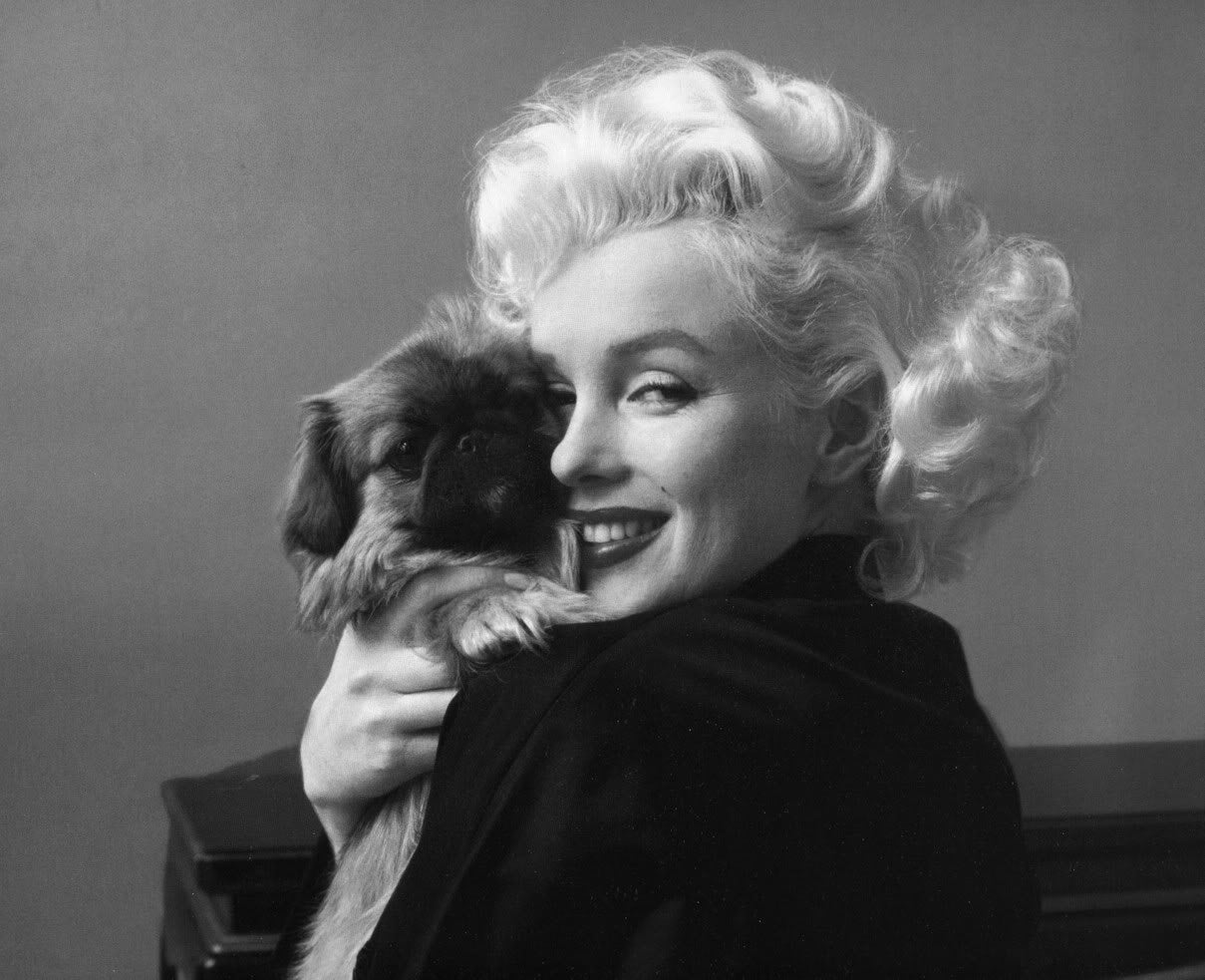5 OLD HOLLYWOOD STARS & THEIR PUPS – The Rover Boutique